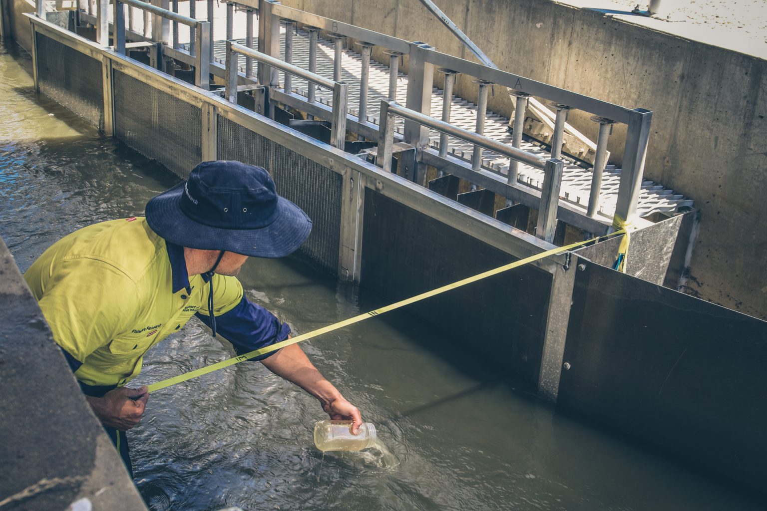 About Fish Screens Australia Fish Screens Australia