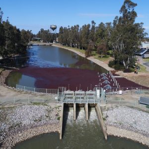SYDNEY MORNING HERALD | 25 MAY, 2020 - Emerging technology could solve 'ludicrous' fish loss from irrigation