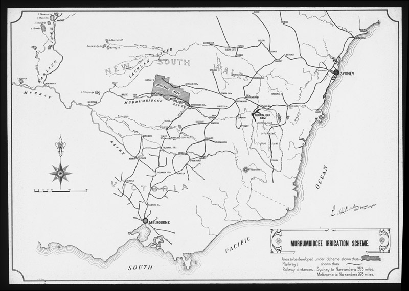 History repeating: the early evidence on fish loss in the Murray River