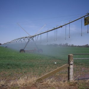 THE COROWA FREE PRESS | 20 AUGUST, 2020 - Agriculture Victoria provides irrigation tips as warmer months approach