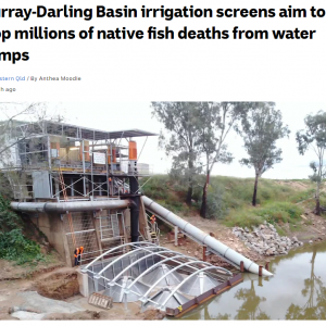 ABC | 24 MARCH, 2021 - Murray-Darling Basin irrigation screens aim to stop millions of native fish deaths from water pumps