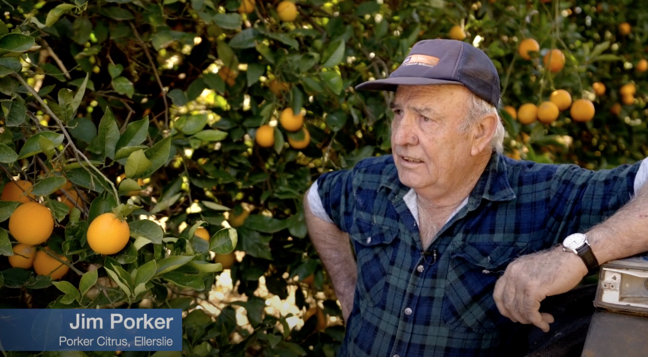 From Pump To Pulp – How Fish Screens Are Evolving The Citrus Industry