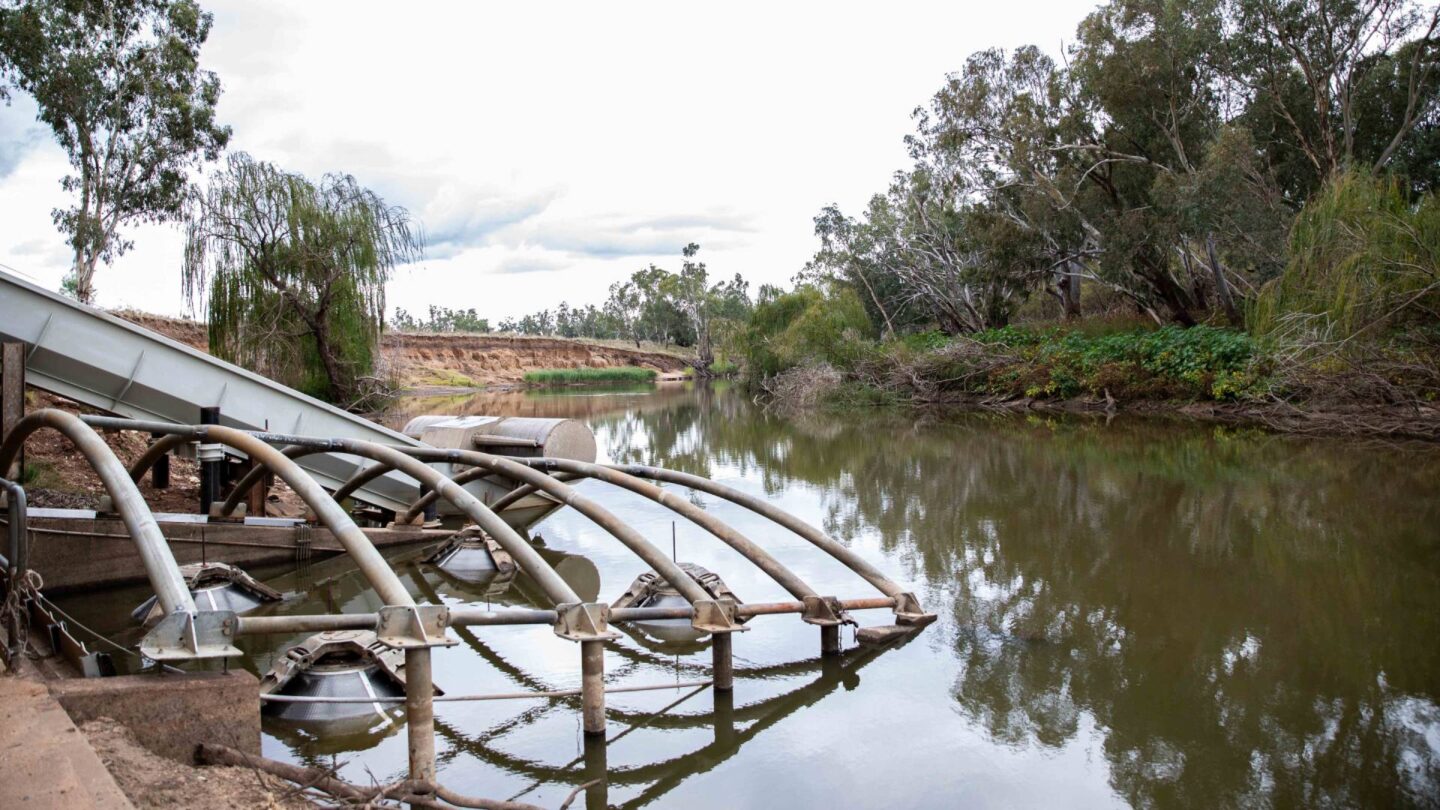 Flow-on effect of fish screens technology a win-win situation for farmers  