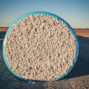 Cotton growers on-board with modern screens