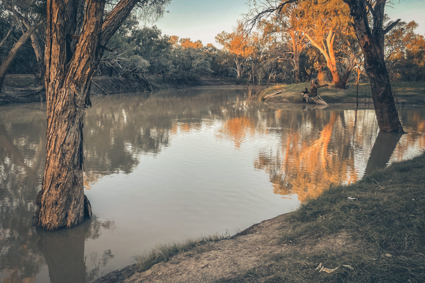 Chalk and Cheese: How Fish Screens Changed the Game for Geoff Kirkby on the Barwon